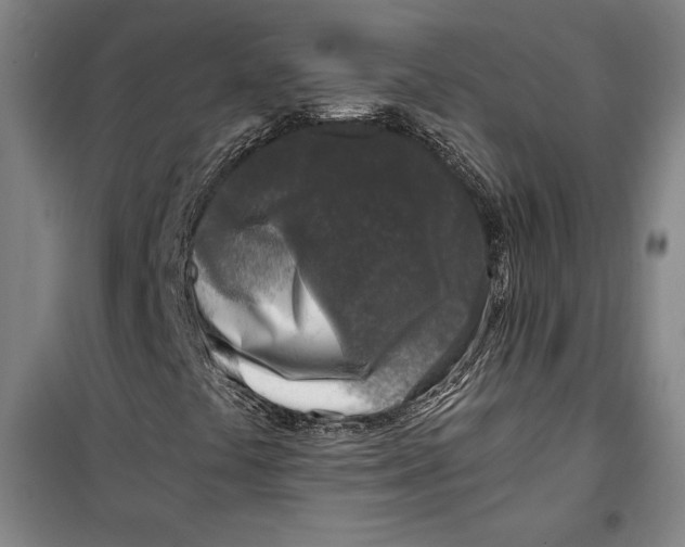 X0000099451441200806061055