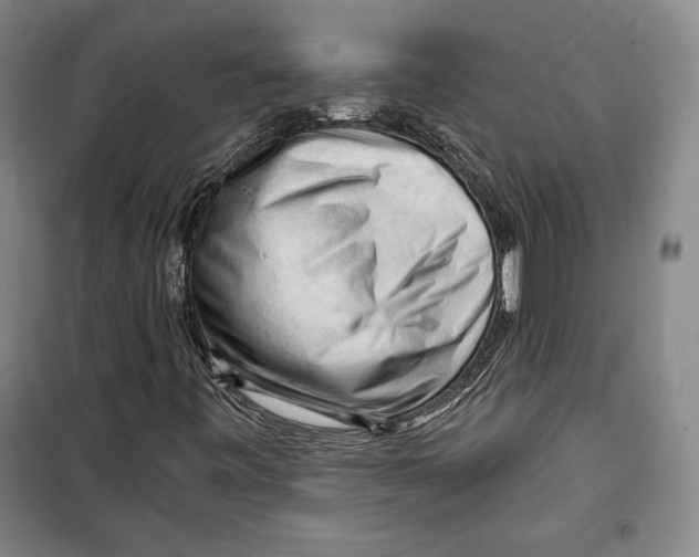 X0000099451443200806061055