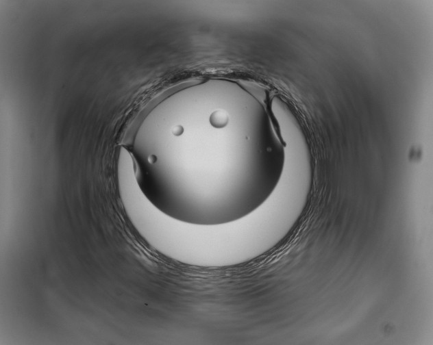 X0000099451444200806061055