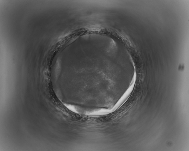 X0000099451445200806061055