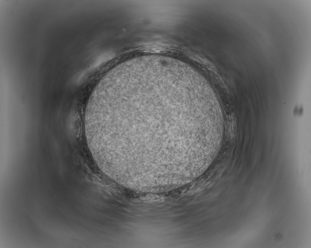 X0000099451446200806061055