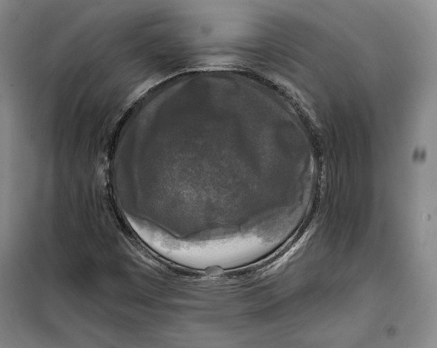 X0000099451449200806061055