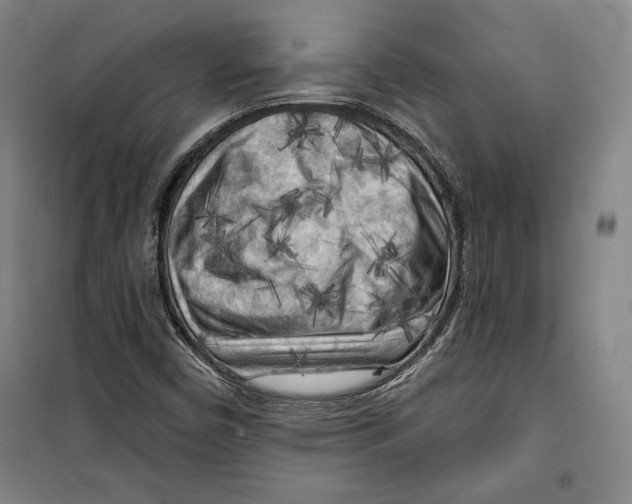 X0000099451450200806061055