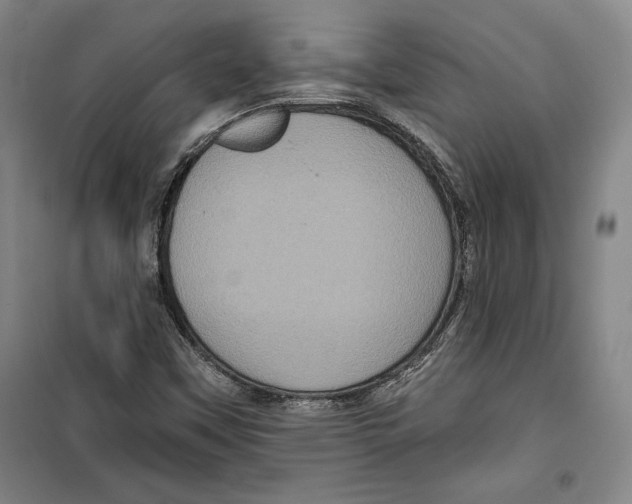 X0000099451451200806061055