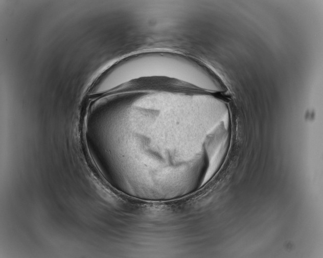 X0000099451452200806061055