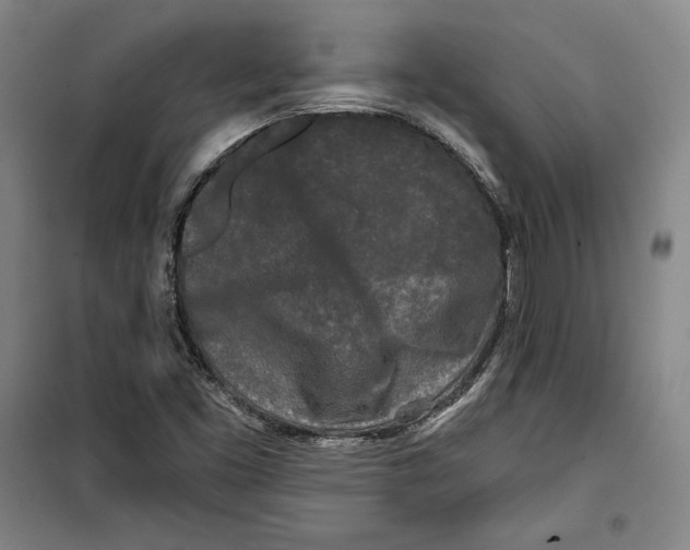 X0000099451453200806061055