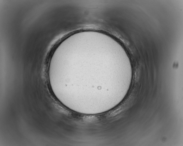 X0000099451454200806061055