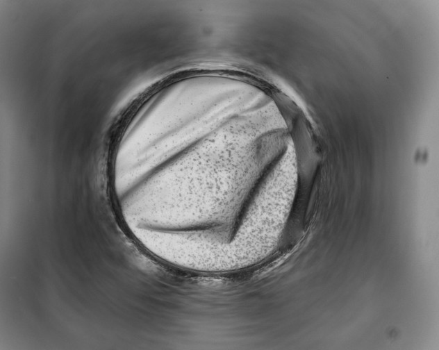 X0000099451456200806061055