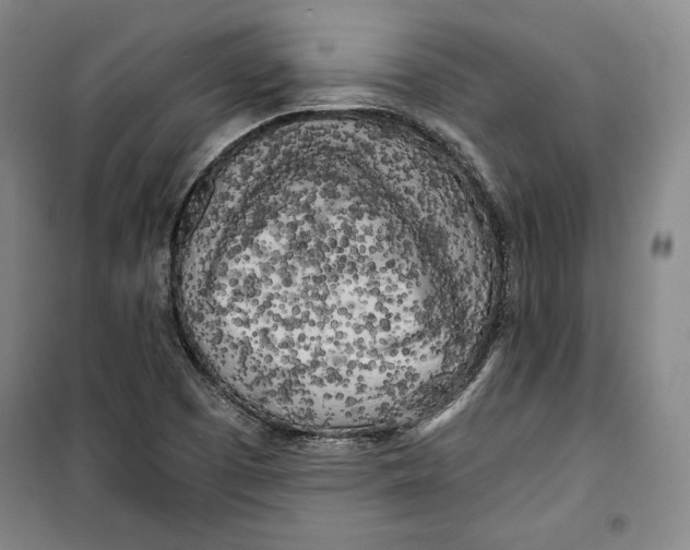 X0000099451457200806061055