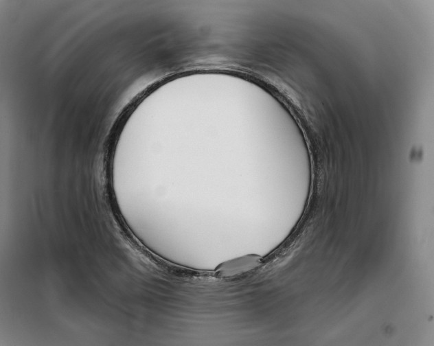 X0000099451458200806061055