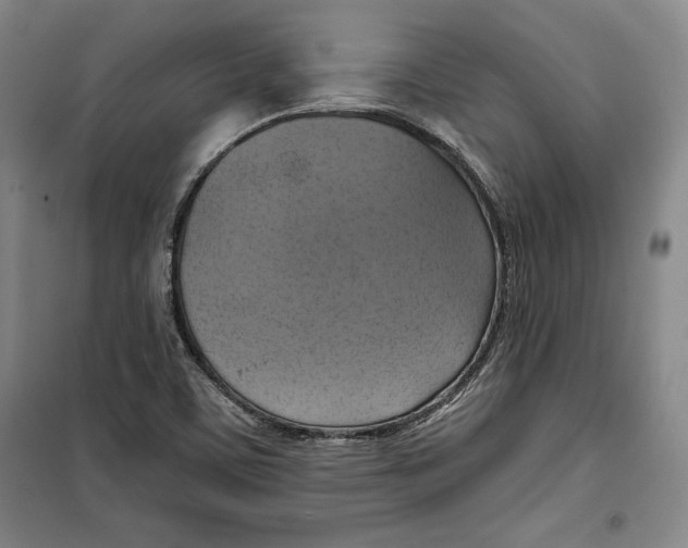 X0000099451459200806061055