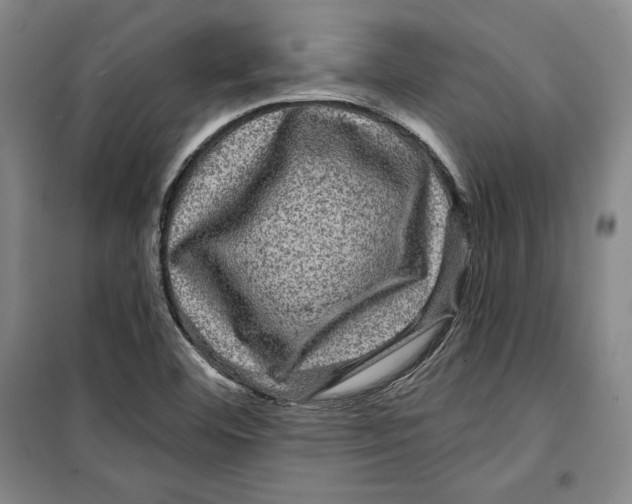 X0000099451460200806061055