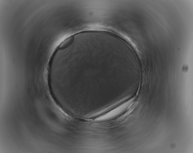 X0000099451463200806061055