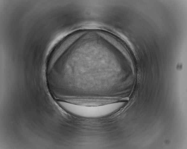 X0000099451464200806061055