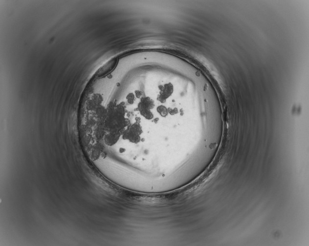 X0000099451465200806061055