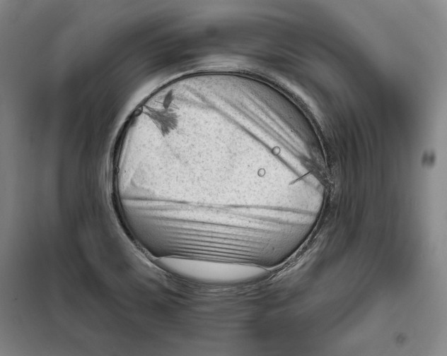 X0000099451467200806061055