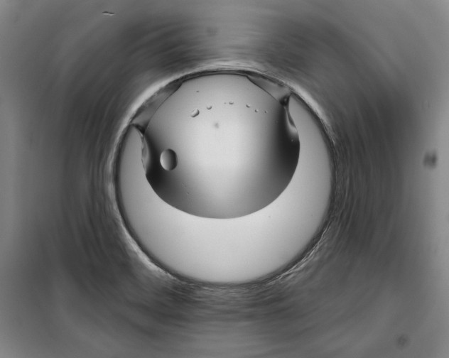 X0000099451468200806061055