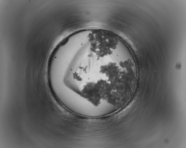 X0000099451469200806061055