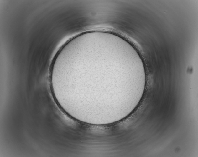 X0000099451470200806061054