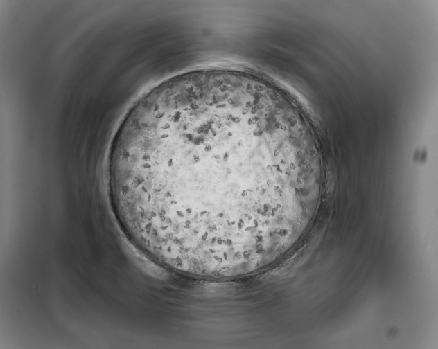 X0000099451471200806061054