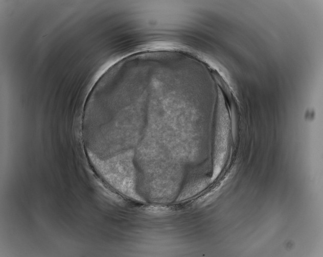 X0000099451473200806061054