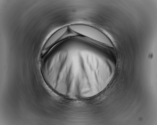 X0000099451476200806061054