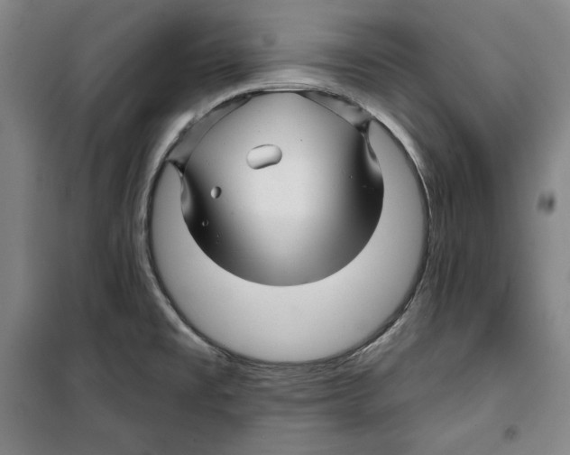 X0000099451477200806061054