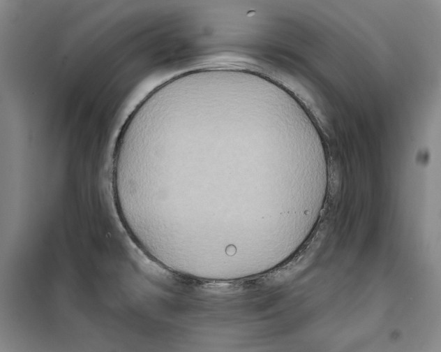 X0000099451478200806061054