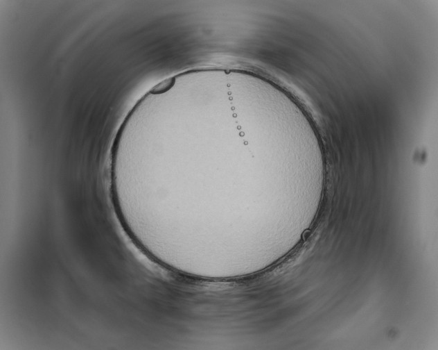 X0000099451479200806061054