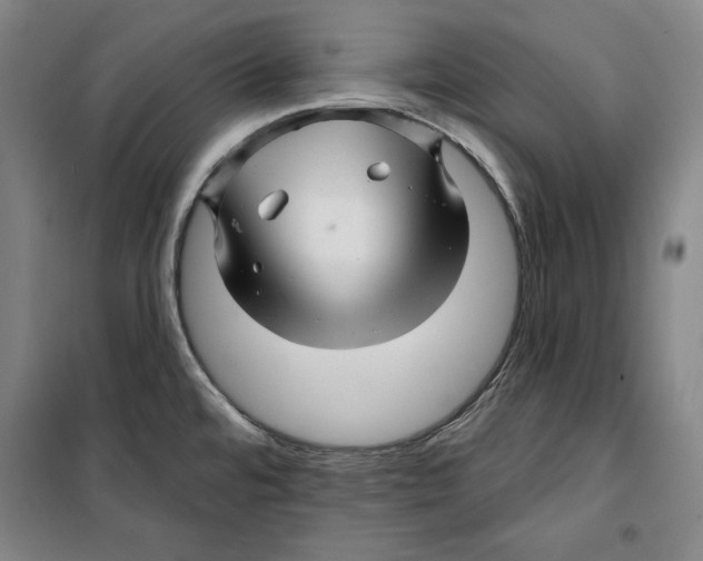 X0000099451480200806061054