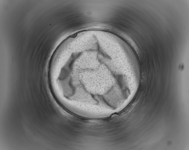 X0000099451483200806061054