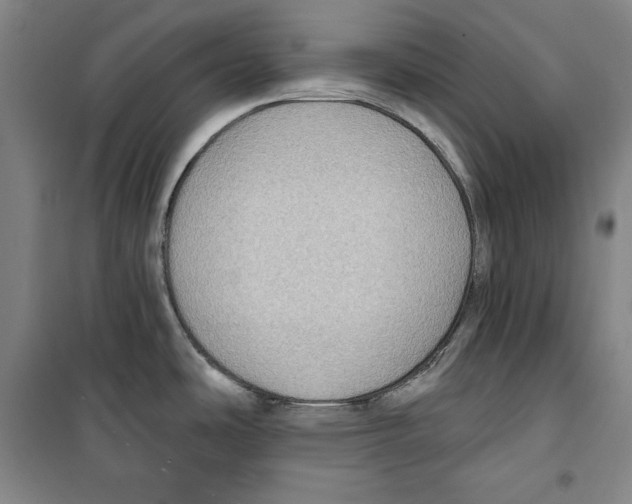 X0000099451486200806061054