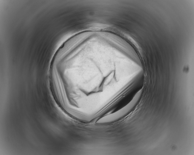 X0000099451487200806061054