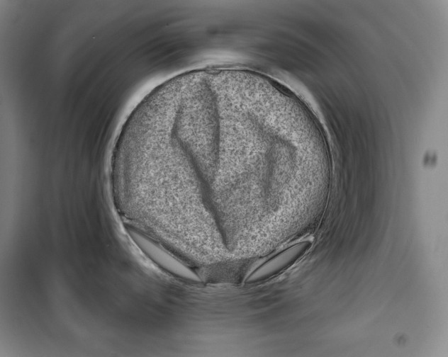 X0000099451488200806061054