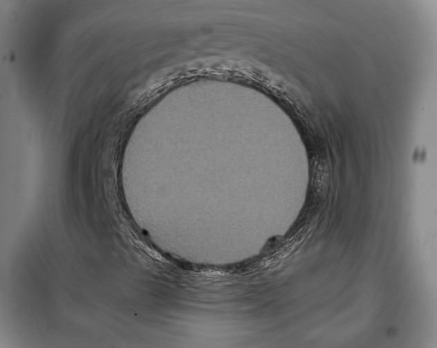 X0000099451489200806061053