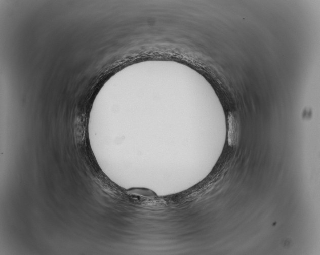 X0000099451491200806061054