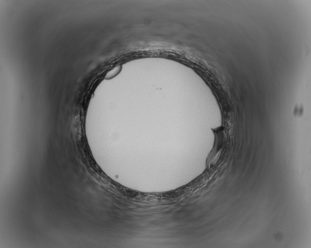 X0000099451493200806061054