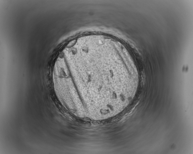 X0000099451494200806061054