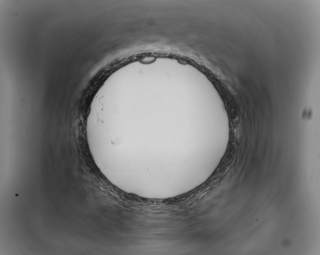 X0000099451495200806061054