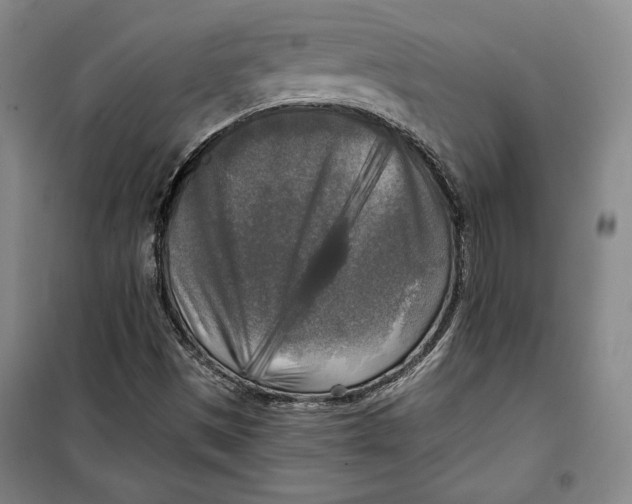 X0000099451497200806061054