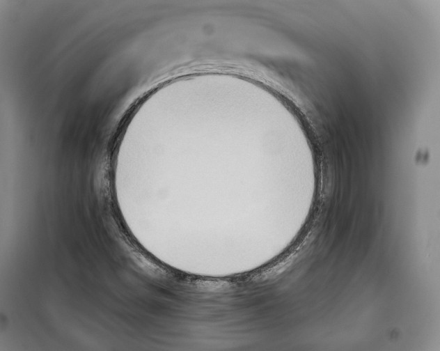 X0000099451498200806061054