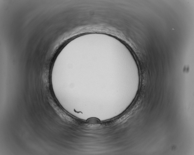 X0000099451499200806061054