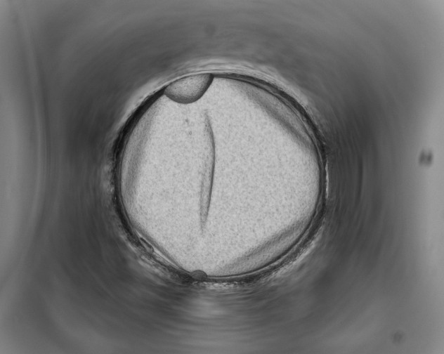 X0000099451501200806061054