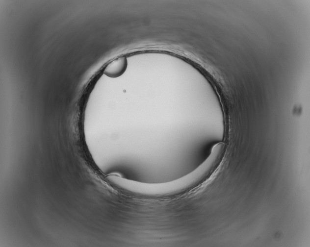 X0000099451502200806061054