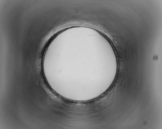 X0000099451503200806061054