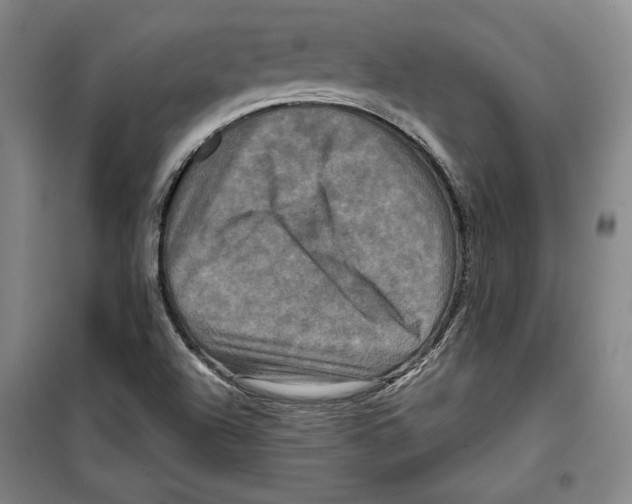 X0000099451504200806061054