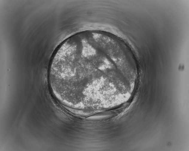 X0000099451505200806061054