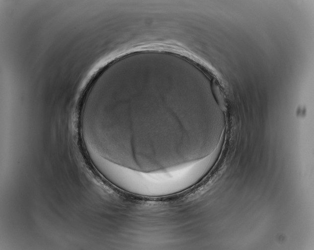 X0000099451506200806061054