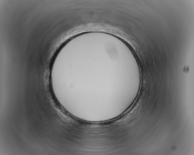 X0000099451507200806061054