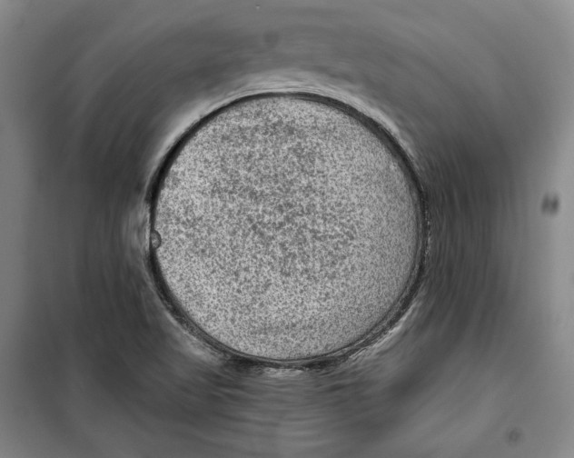 X0000099451509200806061054